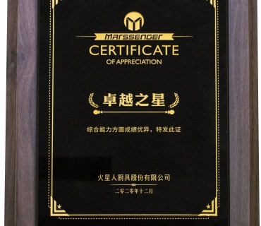 Star of excellence