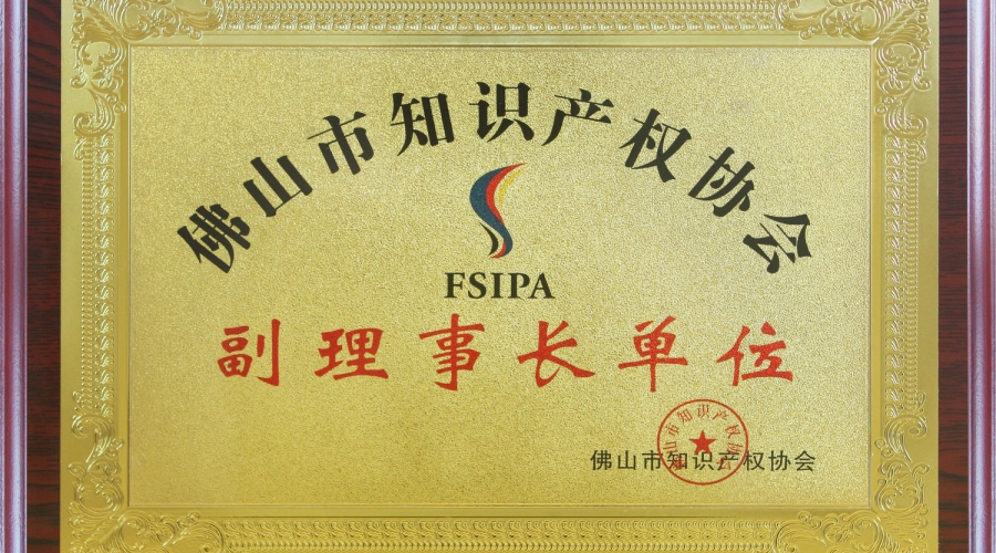 Vice chairman of Foshan intellectual property