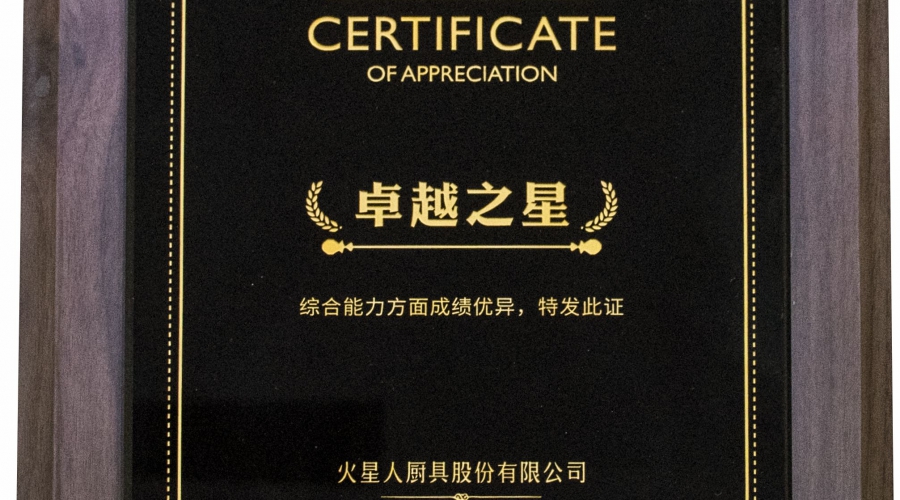 Star of excellence